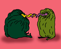 12.jpg (14571 �ֽ�)