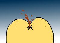 14.jpg (8866 �ֽ�)