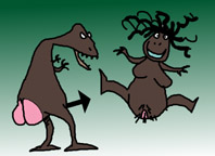 3.jpg (14908 �ֽ�)