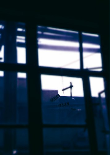 swan.jpg (17105 �ֽ�)