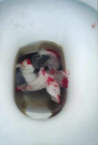 bloodpaper.JPG (7735 �ֽ�)