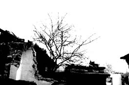 lost3.jpg (13714 �ֽ�)