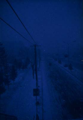 008.jpg (7393 �ֽ�)