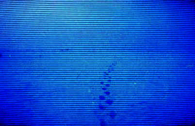 018.jpg (32161 �ֽ�)