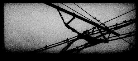 1.jpg (17391 �ֽ�)