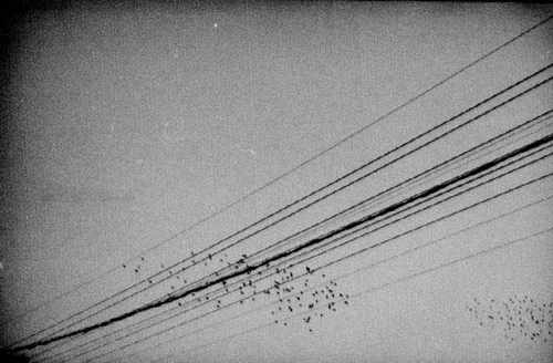 58.jpg (17955 �ֽ�)