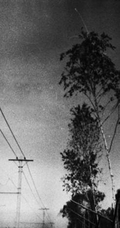 60.jpg (15284 �ֽ�)