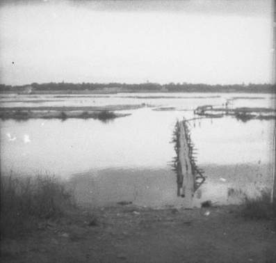 62.jpg (12156 �ֽ�)