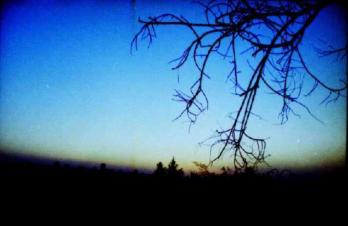 67.jpg (29627 �ֽ�)