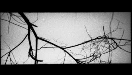 75.jpg (10398 �ֽ�)