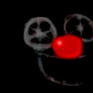 dog008.JPG (6476 �ֽ�)