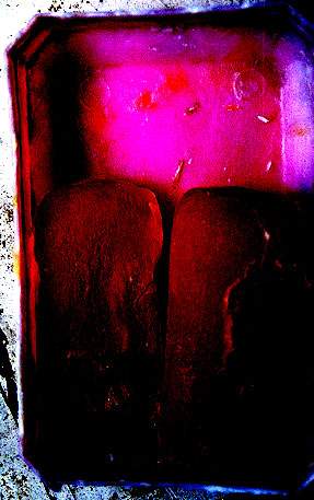 fz06.JPG (19778 �ֽ�)