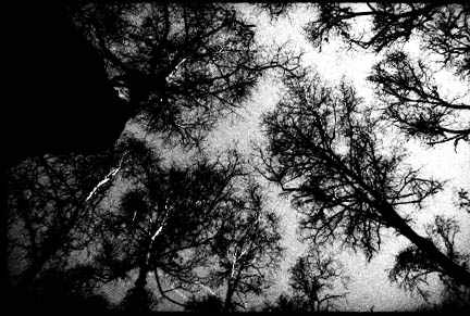 002.jpg (25419 �ֽ�)