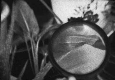 012.jpg (18940 �ֽ�)