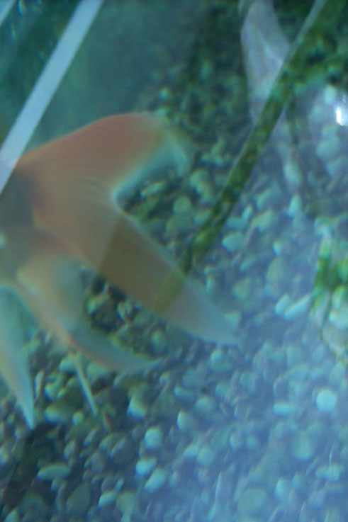 013.jpg (54485 �ֽ�)