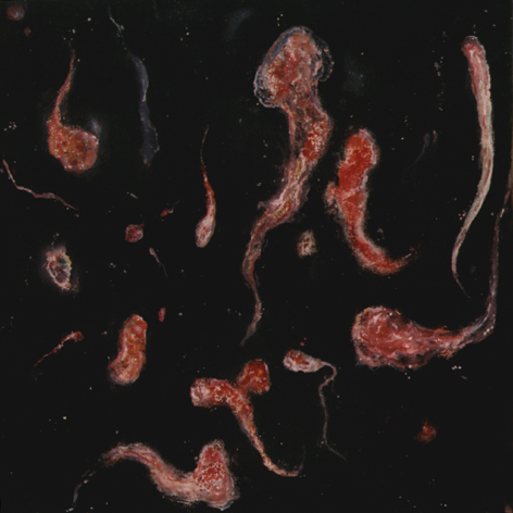 in2.jpg (119679 �ֽ�)