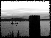 2.jpg (6446 �ֽ�)