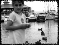 3.jpg (10351 �ֽ�)