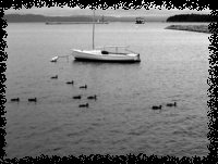 4.jpg (9907 �ֽ�)