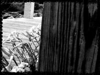 5.jpg (9907 �ֽ�)