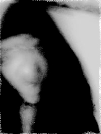 i2.jpg (17268 �ֽ�)