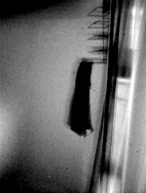 ia.jpg (21522 �ֽ�)