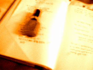 intomyhome5.gif (55803 �ֽ�)