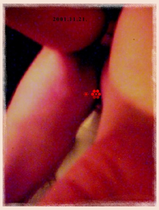 iss1.jpg (87202 �ֽ�)