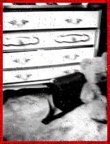 j2.jpg (8132 �ֽ�)