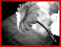 t7.jpg (5052 �ֽ�)