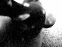 x14.jpg (3245 �ֽ�)