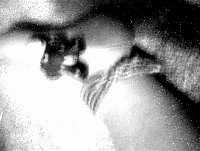 x16.jpg (4008 �ֽ�)