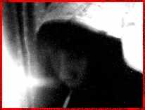 x27.jpg (3901 �ֽ�)