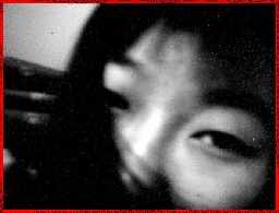 x28.jpg (5406 �ֽ�)