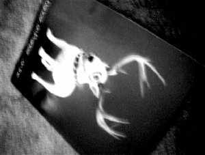 x32.jpg (6552 �ֽ�)