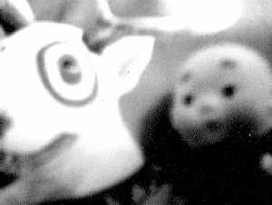 x33.jpg (5416 �ֽ�)