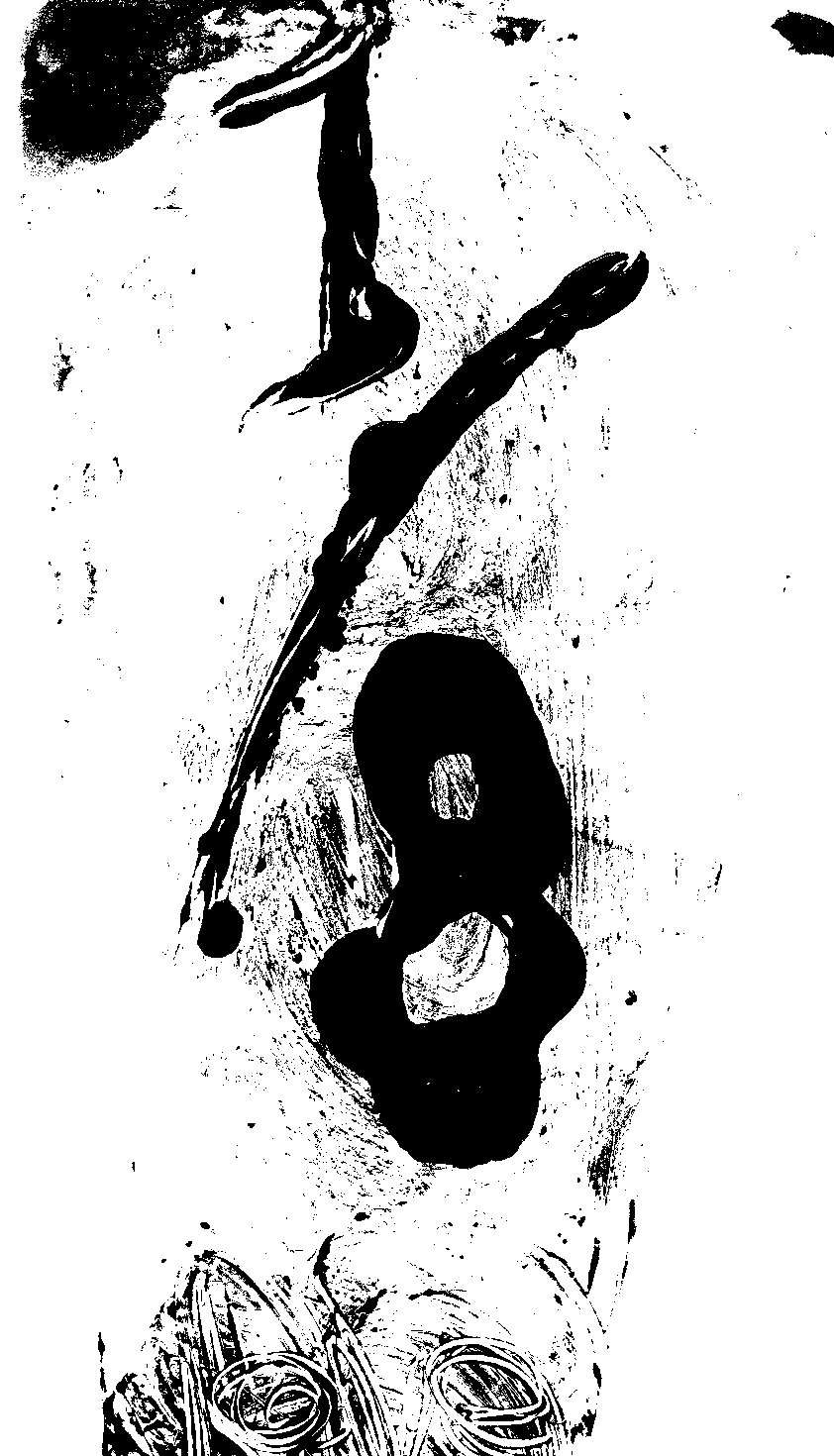 8.gif (38203 �ֽ�)